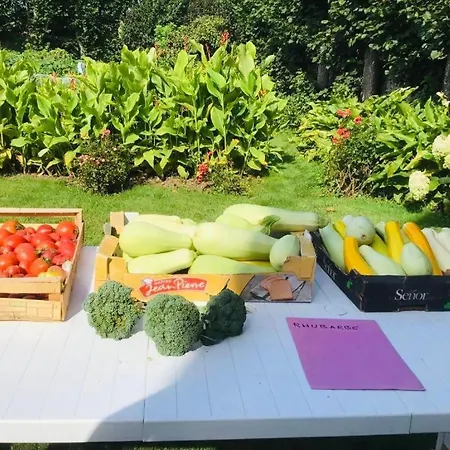 2 Ferme De La Haute 에스칼르